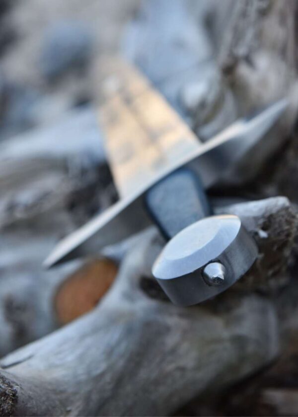 Lake Neuechatel Arming Sword With Scabbard - Image 5