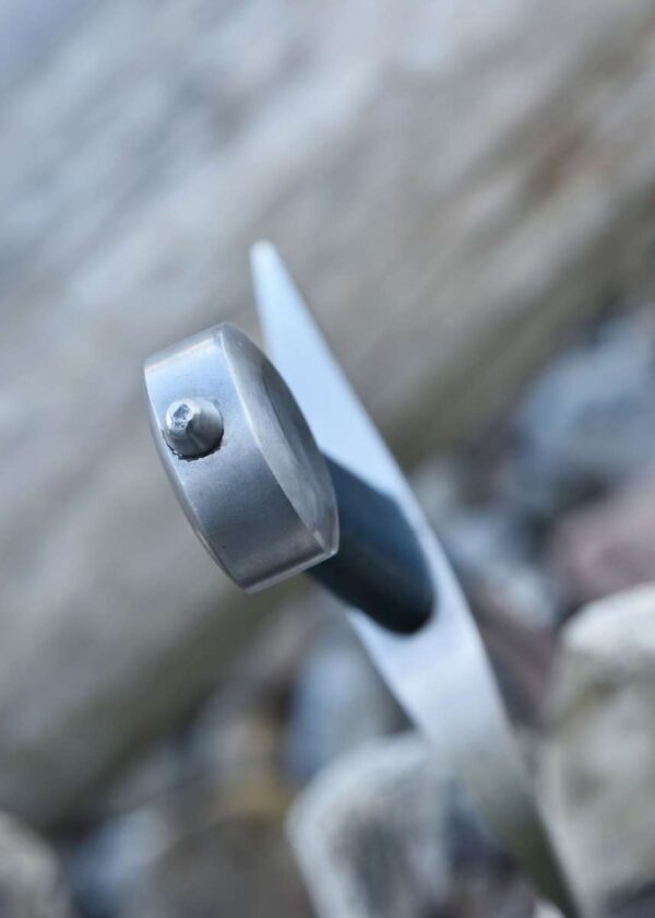 Lake Neuechatel Arming Sword With Scabbard - Image 6