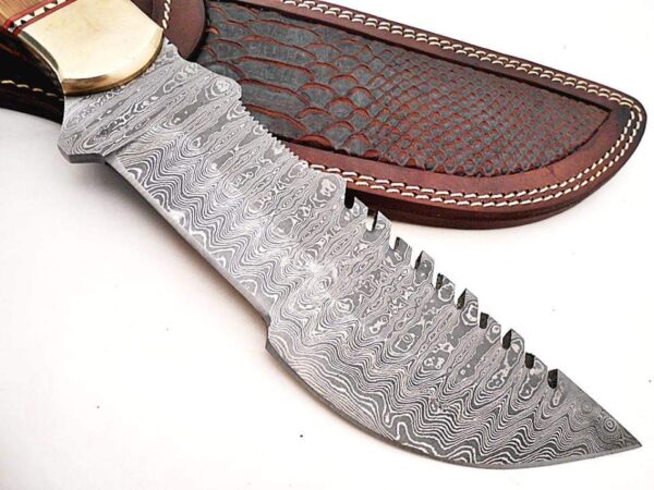 Handmade Forge Damascus |Tracker Knife| |With Olive Wood Handle| - Image 3