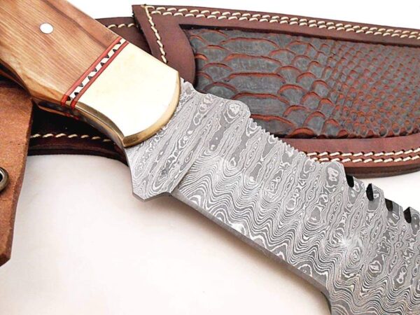 Handmade Forge Damascus |Tracker Knife| |With Olive Wood Handle| - Image 5